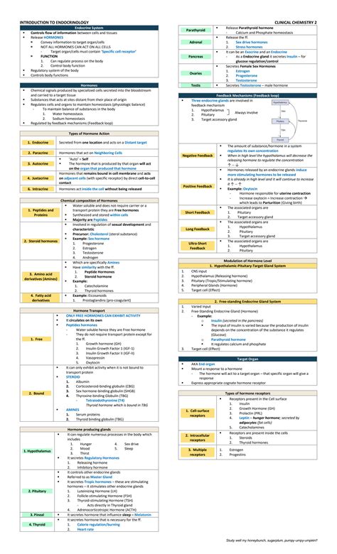 SOLUTION Endocrinology Hypothalamus Pituitary Gland And Pineal Gland