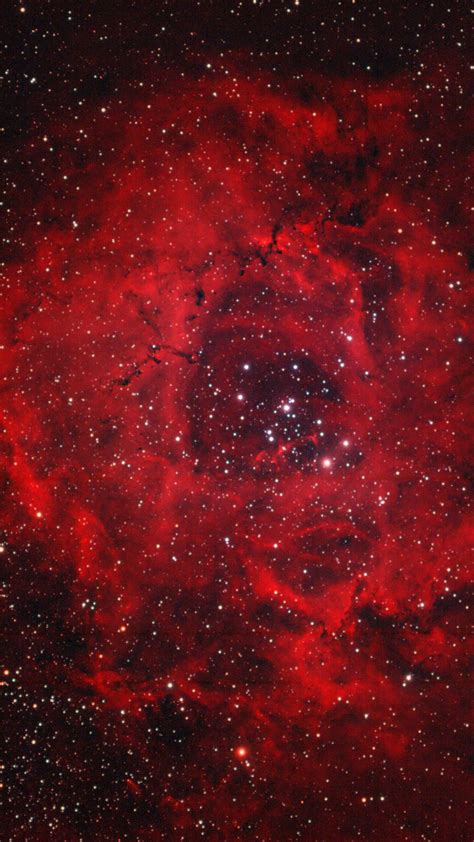 Rosette Nebula Wallpapers Wallpaper Cave