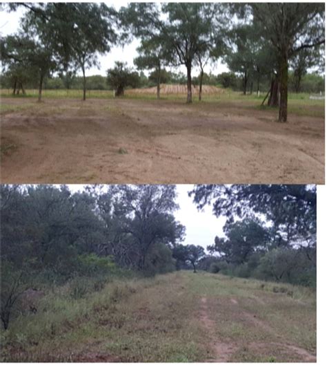 Campo Ganadero Forestal Santiago Del Estero Agroads