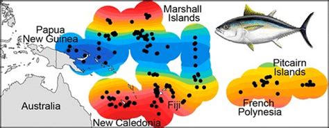 Identifying factors that influence mercury levels in tuna