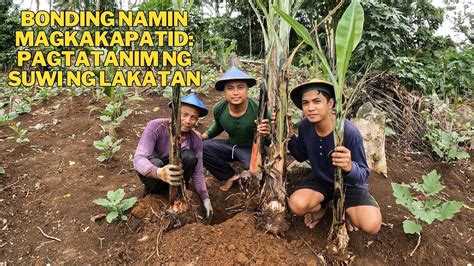 Pagtatanim Namin Ng Suwi Ng Lakatan At Pag Memeryenda Namin Ng Lanzones