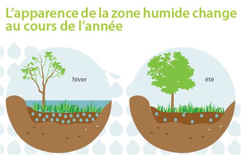 La Protection Des Zones Humides SILA Syndicat Mixte Du Lac DAnnecy