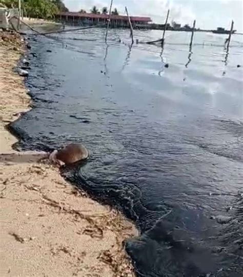 Minyak Limbah Hitam Cemari Pantai Nongsa Diduga Dari Kapal Terbakar