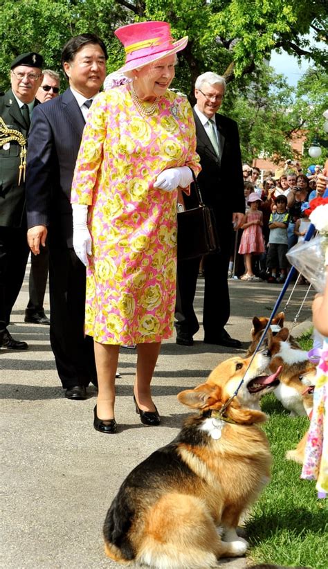 Why Did Queen Elizabeth Have So Many Corgis? | POPSUGAR Celebrity Photo 14