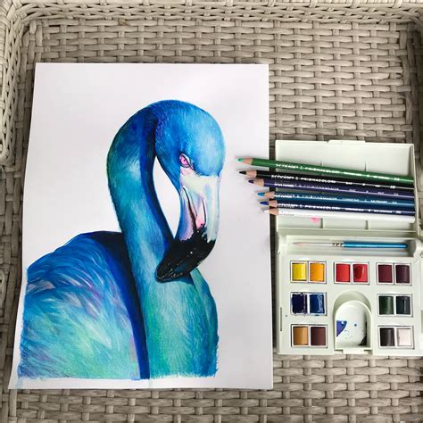 Blue Flamingo On Behance