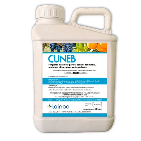 Cuneb Lainco