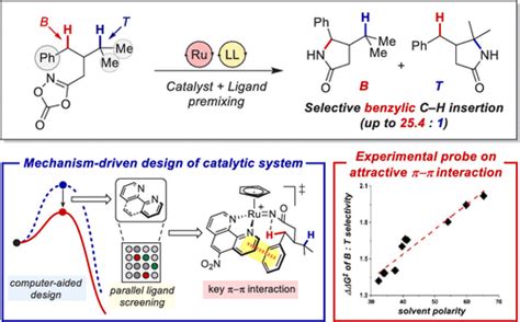 Harnessing Secondary Coordination Sphere Interactions Enables The Selective Amidation Of