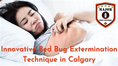 This Innovative Bed Bug Extermination Technique In Calgary Is A Game