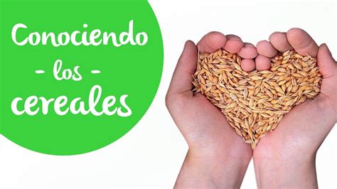 Cereales Cu Les Son D Nde Se Encuentran Cu Les Deber As Consumir Y