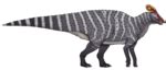 qantassaurus wikipedia