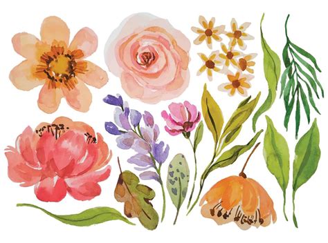 Watercolor Flower Elements Clipart 11954416 Vector Art At Vecteezy