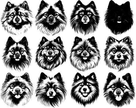 Keeshond Svg Bundle Set Of 100 Instant Digital Download Png Svg