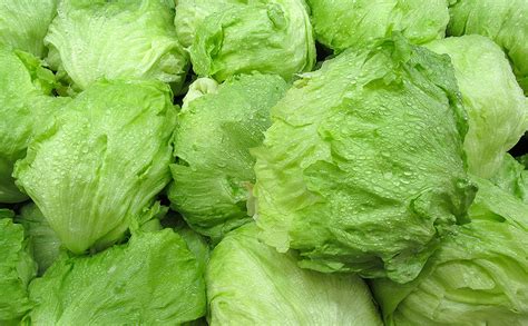 Iceberg Prices Cool Romaine Heats Up Produce News