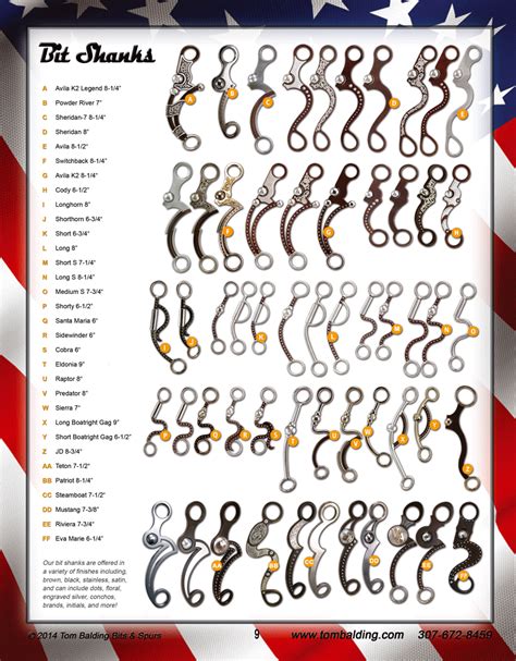 16 Common Types Of Horse Bits A Helpful Illustrated Guide Artofit