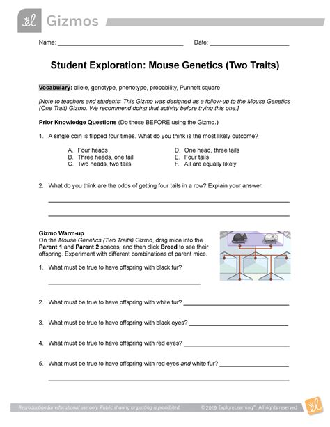 Mouse Genetics 2SE copy - Name ...