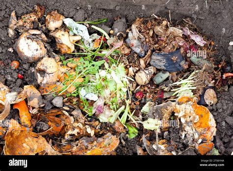 Compost Heap Ecological Method For Recycling Food Waste At Home To