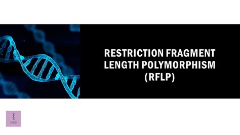 Restriction Fragment Length Polymorphism (RFLP)