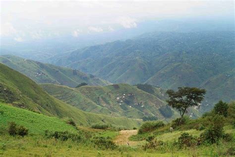 2023 Hiking in the Lower Rwenzori Mountains