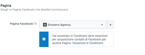 Come Utilizzare Le Inserzioni Per Acquisizione Contatti Facebook Lead