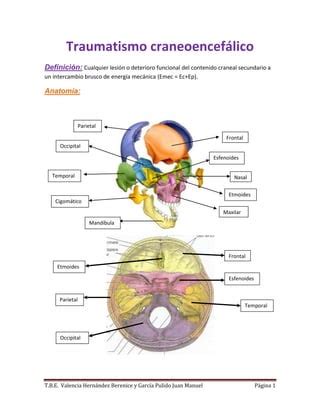 TCE Modulo 4 PDF