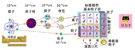 科学网—统一路 13 基本粒子知多少 张天蓉的博文