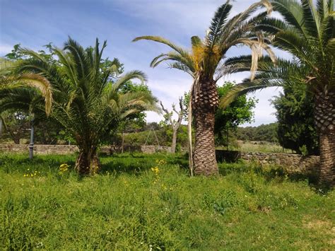 Parque De Uflo De Chaves Santa Cruz De La Sierra