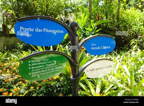 Pitangueiras Rio De Janeiro Rj - Rio pitangueiras hi-res stock photography and images - Alamy