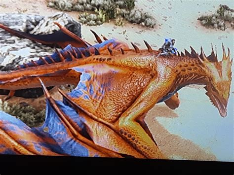 My First Fire Wyvern Mutation Rark