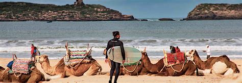 Book your surf lessons & surf rentals in Essaouira | Surfara