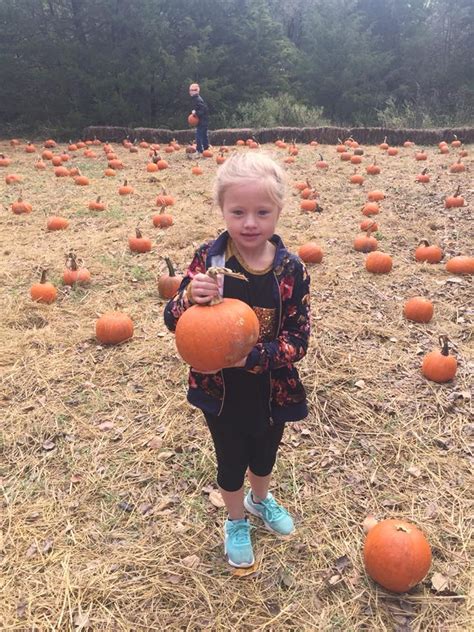 Pumpkin Patch — Cornerstone Kids Ranch