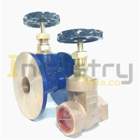 Gun Metal Brass Gate Valve Isi Marked Screwed Flange End Valve