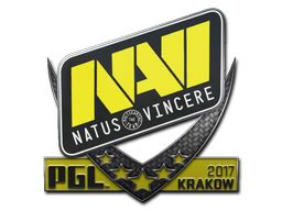 All Natus Vincere Stickers Csgoskins Gg