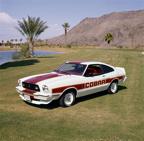 1978 Ford Mustang Cobra Ii For Sale