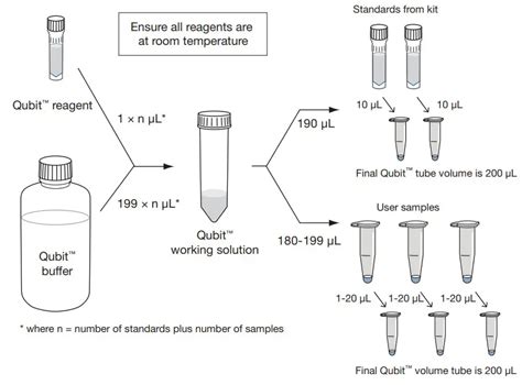 Thermofisher Scientific Q33230 Qubit Assay Protocol User Guide