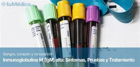 Imunoglobulina E Alta Sintomas - Inmunoglobulina M (igm) Alta: Causas, Síntomas Y Tratamiento | Doctor ...