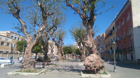 La Soprintendenza Diffida Il Comune Di Trapani Dal Proseguire Con L