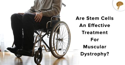 Are Stem Cells An Effective Treatment For Muscular Dystrophy NeuroGenBSI