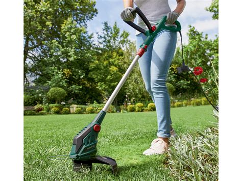 Tagliabordi Elettrico Giardino Fan Di Lidl