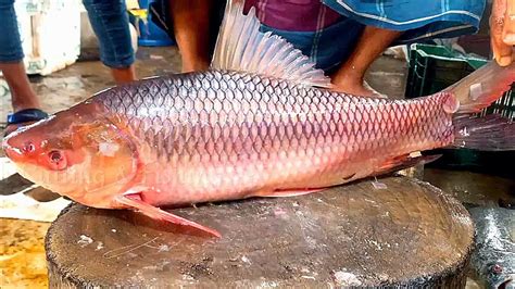 Amazing Rohu Fish Most Beautiful Cutting Skills In Bangladesh Fish