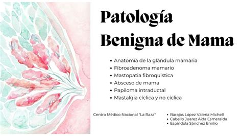 Res Menes De Patolog A Benigna De Mama Descarga Apuntes De Patolog A