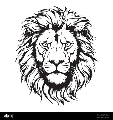 Visage de lion Portrait croquis graphique noir et blanc d une tête