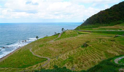 Shiroyone Senmaida (1000 rice paddies) - Tourist In Japan