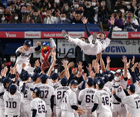 まさかの2人同時胴上げ！？ ヤクルト高津監督脇で山崎晃大朗も宙を舞う プロ野球写真ニュース 日刊スポーツ