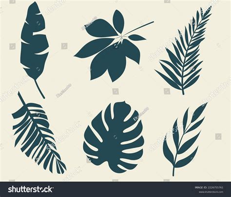 Set Vector Silhouettes Bright Tropical Leaves Stock Vector Royalty