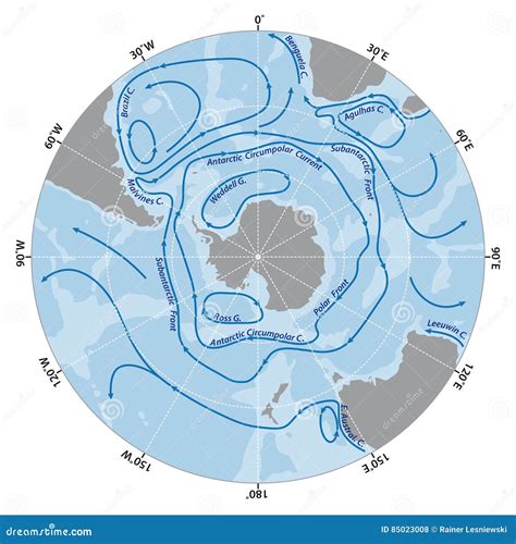 Map Of The Antarctic Circumpolar Current Vector Illustration ...