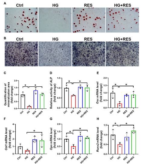 Figure From Resveratrol Attenuates High Glucose Induced Osteoblast