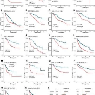 Kaplanmeier Survival And Cox Regression Analysis Of Rgs Al