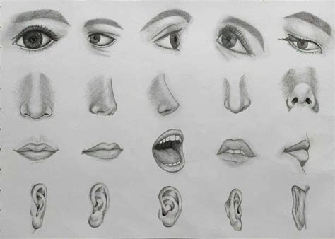 #eye #nose #lips #ear #bnw #drawing Human Sketch, Male Sketch, How To ...