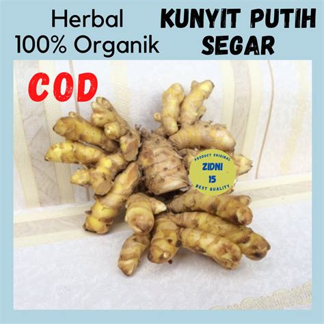 Jual 500g KUNYIT PUTIH SEGAR BAHAN JAMU JAWA DAN HERBAL ORGANIK TEMU