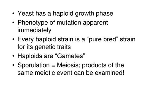 Yeast Genetics And Molecular Biology Ppt Download